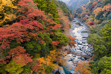 徳島県 グランピング